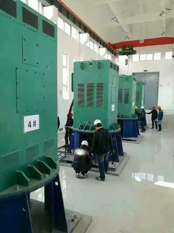 京口某污水处理厂使用我厂的立式高压电机安装现场